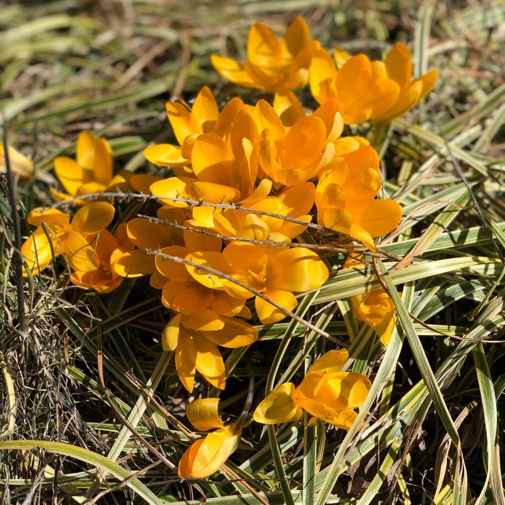 Meet your Posher, Deedee